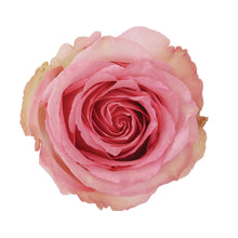 Cargar imagen en el visor de la galería, SWEET UNIQUE caja x 50 rosas Bogotá
