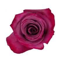 Cargar imagen en el visor de la galería, VIOLET HILL caja x 50 rosas Bogotá

