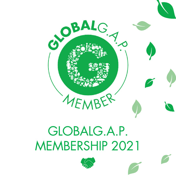 Flores Prisma recibe la Membresía Global G.A.P. 2021