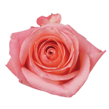 Cargar imagen en el visor de la galería, Personaliza tu caja x 50 rosas Bogotá
