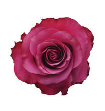 Cargar imagen en el visor de la galería, *Personaliza tu caja x 50 rosas Bogotá
