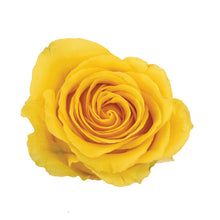 Cargar imagen en el visor de la galería, YELLOW BIKINI ramo
