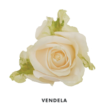 Cargar imagen en el visor de la galería, Personaliza tu caja x 50 rosas Bogotá
